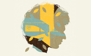 哪买最实惠的服务器攻击软件